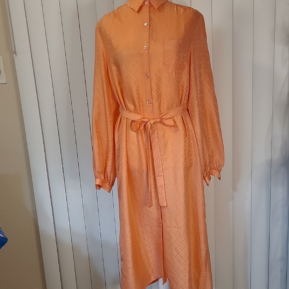 Unbranded 100% Silk Shirt Dress